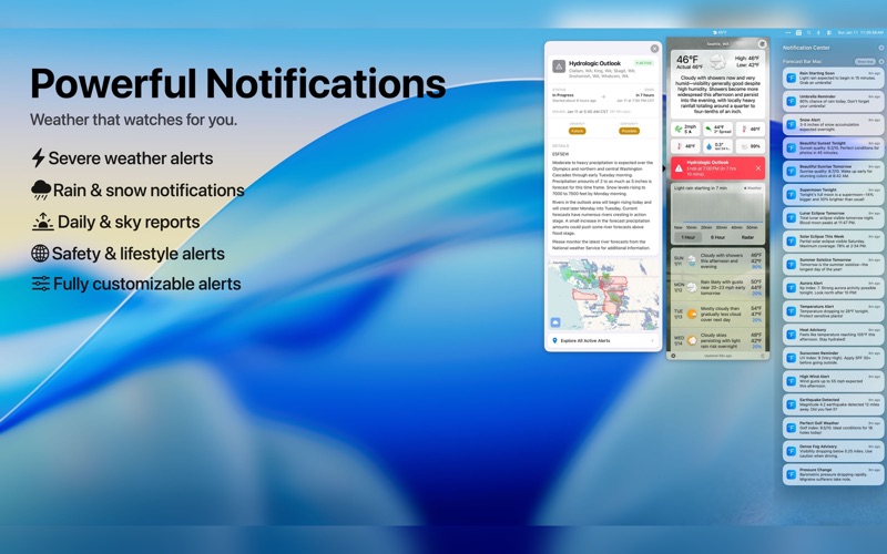 Forecast Bar