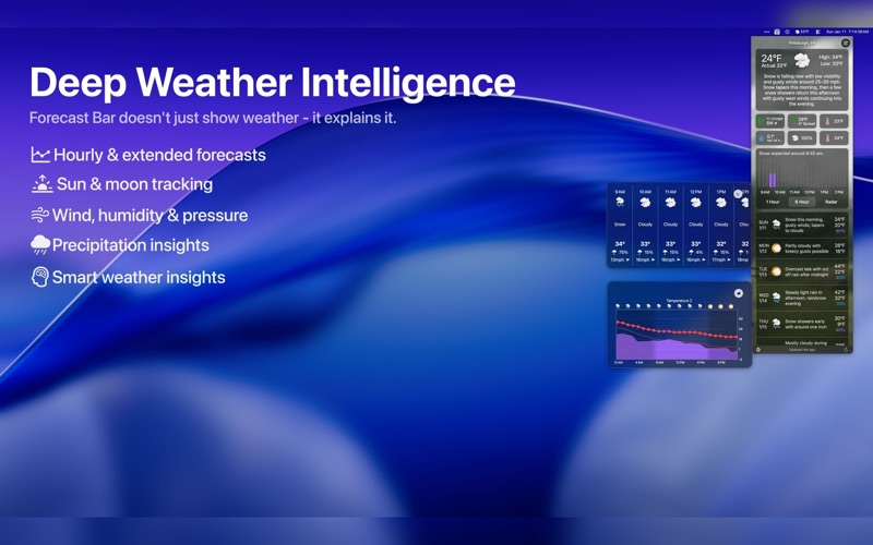 Forecast Bar