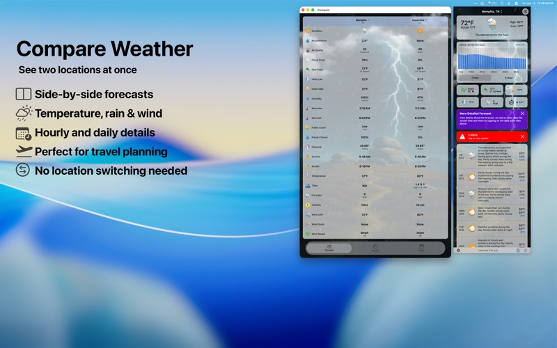 Forecast Bar